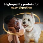 CESAR Classic Loaf in Sauce Adult Wet Dog Food Mealtime Variety Pack, with 8 Filet Mignon Flavour, 8 Pork Tenderloin Flavour & 8 Smoked Bacon & Egg Flavour, 24x100g Trays - Image 6