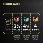 CESAR Classic Loaf in Sauce Adult Wet Dog Food Mealtime Variety Pack, with 8 Filet Mignon Flavour, 8 Pork Tenderloin Flavour & 8 Smoked Bacon & Egg Flavour, 24x100g Trays - Image 9