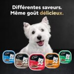 CESAR Classic Loaf in Sauce Adult Wet Dog Food Mealtime Variety Pack, with 8 Filet Mignon Flavour, 8 Pork Tenderloin Flavour & 8 Smoked Bacon & Egg Flavour, 24x100g Trays - Image 12