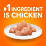 IAMS Proactive Health Indoor Weight & Hairball Care Adult Dry Cat Food – Chicken & Turkey – 3.18KG (7LB) Bag - Image 4