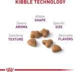 Royal Canin Feline Health Nutrition Sensitive Digestion Cat Food Dry Formula, Balanced Nutrition to Support Digestive Health, 7 lb Bag - Image 3