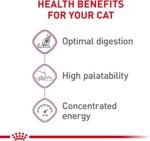 Royal Canin Feline Health Nutrition Sensitive Digestion Cat Food Dry Formula, Balanced Nutrition to Support Digestive Health, 7 lb Bag - Image 4