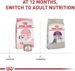Royal Canin Feline Health Nutrition Sensitive Digestion Cat Food Dry Formula, Balanced Nutrition to Support Digestive Health, 7 lb Bag - Image 6