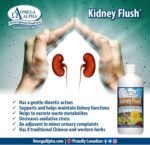 Omega Alpha Kidney Flush – 2 Pack x 500 mL – Herbal Kidney Detox & Diuretic – Uva Ursi, Dandelion Root, Corn Silk – Urinary Tract Cleanse, Stone Breaker, Made in Canada – Vegan Liquid Formula - Image 4