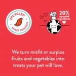 Shamless Pets More Lobster, Cheese Crunchy Cat Treats, Seafood Flavour, Dry Cat Treats - Image 5