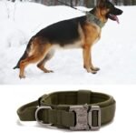 Tactical Dog Collar, Military Nylon Dog Collar Thick with Handle Dog Collars Adjustable Heavy Duty Metal Buckle for Dog Training (Green, M) - Image 8