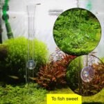 Shrimp Feeding Tube and Dish,Clear Crystal Glass Shrimp Feeder Tube Tray for Fish Tank Aquarium Shrimp (10") - Image 4