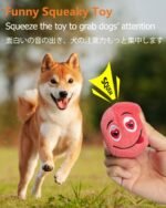 Squeaky Dog Toys, [6 Pack] Soft Stuffed Plush Balls with Squeakers, Interactive Fetch Play for Puppy Small Pets - Image 3