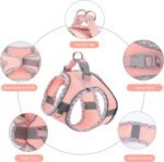 Dog Harness for Small Dogs Leashes Set,Soft No Pull Adjustable Breathable Mesh Leash and Harness Vest Belt for Puppy,Small,Medium Dogs and Cats(XXS-PK) - Image 4