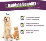 Amber NaturalZ Kidney Rejuvenator Herbal Supplement for Dogs, Cats, Birds, Rabbits, and Guinea Pigs | Supports Normal Kidney Function | Natural Aid for Kidney Health - Image 3