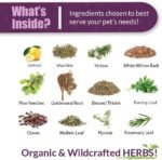 Amber NaturalZ Kidney Rejuvenator Herbal Supplement for Dogs, Cats, Birds, Rabbits, and Guinea Pigs | Supports Normal Kidney Function | Natural Aid for Kidney Health - Image 4