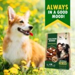 Dog Treats Calcium Bones Wrapped with Chicken & Pet Natural Chew 300 Gr - Grain Free Organic Meat & Human Grade Dried Snacks in Bulk - Best Twists for Small & Large Dogs - Image 9