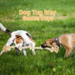 Bmag Dog Rope Toys for Aggressive Chewers, Interactive Heavy Duty Dog Toys for Medium Large Dogs, Tough Twisted Rope Toy with 5 Knots(Beige) - Image 6