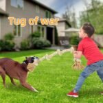 Bmag Dog Rope Toys for Aggressive Chewers, Interactive Heavy Duty Dog Toys for Medium Large Dogs, Tough Twisted Rope Toy with 5 Knots(Beige) - Image 7