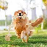 Bmag Dog Rope Toys for Aggressive Chewers, Interactive Heavy Duty Dog Toys for Medium Large Dogs, Tough Twisted Rope Toy with 5 Knots(Beige) - Image 8