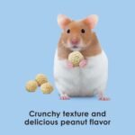 Kaytee Pet Treats Fiesta Krunch A Rounds Peanut - Image 5