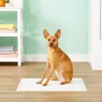 Dogit 70593 Puppy Training Pads 30 Pack - Image 3