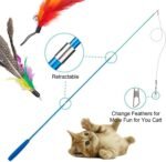 12 Pcs Cat Feather Toy, Feather Refills Set, Cat Teaser Retractable with Beads Bells, Fish Toy Retractable Cat Wand Toys Interactive Cat Toys for for Indoor Cats Exercising Kitten Toys - Image 5