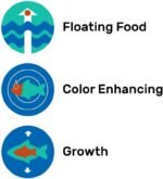 Hikari 8.8-Ounce Cichlid Gold Floating Pellets for Pets, Large - Image 6