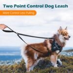 PetBonus Two Point Control Dog Leash, Works with No Pull Harnesses, No Tangle Training Leashes, Soft Padded and Reflective Walking Lead, Converts to Single Lead for Medium Large Dogs (Black) - Image 3