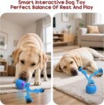 Interactive Dog Toys Ball, Moving Dog Toy for Boredom, Automatic Rolling Ball, Motion Activated Automatic Toys for Puppy/Small/Medium Dogs, USB Charging, Birthday for Dogs (Blue) - Image 7
