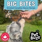Soft & Chewy Big Bites, Smoked Canadian Bacon Recipe Dog Treats, 1200g Mega Pack, Made in Canada - Image 4