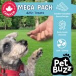 Soft & Chewy Big Bites, Smoked Canadian Bacon Recipe Dog Treats, 1200g Mega Pack, Made in Canada - Image 5