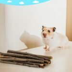 600g/1.3lb Apple Chew Sticks Teeth Grinding Toys for Rabbit Guinea Pigs Molar Treats Toys for Bunny Chinchillas Hamster Gerbil Parrot Small Animal Pet Supplies - Image 8