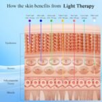 YourMate Red Light Therapy Device Pro Face & Neck Massager for Skin Care 4 in 1 Facial Tools Skin with 7 Colors LED Light for Rejuvenation - Image 5