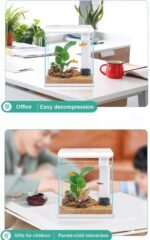 Betta Fish Tank, 2 Gallon Glass Aquarium Starter Kit, Small Fish Tank with Filter and Light. - Image 4