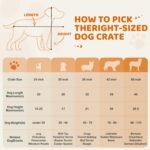 Yaheetech 36 inch Double Door Dog Crate w/Divider for Puppy, Collapsible Metal Dog Kennel with Removable Tray, Portable Travel Cage, Black - Image 10