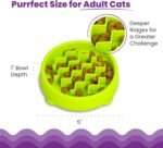 Catstages Kitty Slow Feeder Cat Bowl for Wet or Dry Cat Food, Helps Prevent Bloat & Improve Digestion, Non-Slip, BPA-Free, Small, Green - Image 7