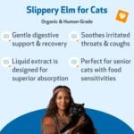 Pet Wellbeing Slippery Elm for Cats - Organic Herb, Supports Healthy Digestive Tract, Gut Lining, Throat Comfort, Lower Urinary Tract Health - Herbal Supplement 2 oz (59 ml) - Image 3
