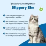 Pet Wellbeing Slippery Elm for Cats - Organic Herb, Supports Healthy Digestive Tract, Gut Lining, Throat Comfort, Lower Urinary Tract Health - Herbal Supplement 2 oz (59 ml) - Image 10