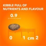 IAMS PROACTIVE HEALTH Healthy Adult Dry Cat Food – Chicken – 3.18KG (7LB) Bag - Image 10