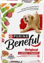 Beneful Originals Dry Dog Food, Real Beef - 7 kg Bag - Image 3