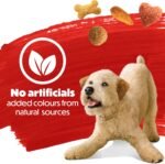 Beneful Originals Dry Dog Food, Real Beef - 7 kg Bag - Image 7
