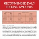 Beneful Originals Dry Dog Food, Real Beef - 7 kg Bag - Image 12
