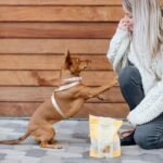 Rollover Small Gourmet Crunchy Chicken Biscuits - 300g - Image 5