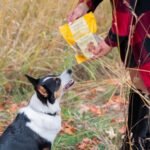 Rollover Small Gourmet Crunchy Chicken Biscuits - 300g - Image 6