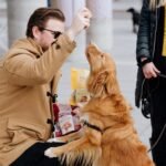 Rollover Small Gourmet Crunchy Chicken Biscuits - 300g - Image 9