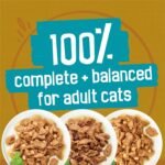 Friskies Tasty Treasures Wet Cat Food, Poultry & Fish Combo Variety Pack 3 Flavours - 156 g Can (24 Pack) - Image 6