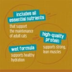 Friskies Tasty Treasures Wet Cat Food, Poultry & Fish Combo Variety Pack 3 Flavours - 156 g Can (24 Pack) - Image 7