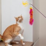 Andiker Cat Feather Toys, 2PCS Cat Wand Toys with Bell&Plush Balls, 12in Colourful Interactive Kitten Teaser Toy, Funny Interactive Cat Toys for Cat Indoor Playing Training (Red + Green) - Image 6