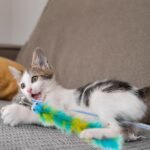 Andiker Cat Feather Toys, 2PCS Cat Wand Toys with Bell&Plush Balls, 12in Colourful Interactive Kitten Teaser Toy, Funny Interactive Cat Toys for Cat Indoor Playing Training (Red + Green) - Image 7