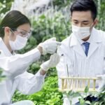 12PCS 20ML Plastic Sterile Syringe with Cap and Tubes 2*50cm Disposable Individual Wrap Syringe without Needles for Scientific Labs Feeding Pet Measuring Liquids and Glue Applicator - Image 9