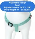 Pawtitas Reflective Step-in Dog Harness – Adjustable No-Pull Vest for Puppies to Seniors, Safe & Comfortable, S Teal - Image 5
