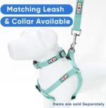 Pawtitas Reflective Step-in Dog Harness – Adjustable No-Pull Vest for Puppies to Seniors, Safe & Comfortable, S Teal - Image 7