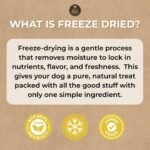 Bully Bunches Freeze Dried Beef Liver Dog Treats - Human Grade, Natural Single Ingredient, High Protein Training Treats for Dogs & Puppies, Grain Free - 100g - Image 6