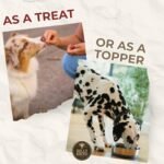 Bully Bunches Freeze Dried Beef Liver Dog Treats - Human Grade, Natural Single Ingredient, High Protein Training Treats for Dogs & Puppies, Grain Free - 100g - Image 8